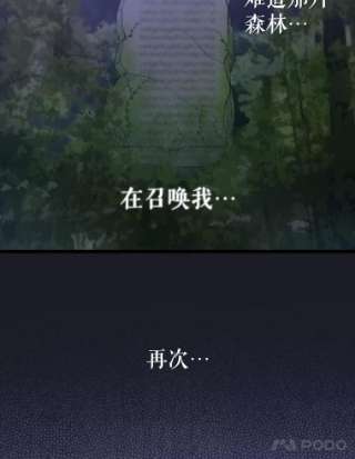 请抛弃我8.森林的召唤
