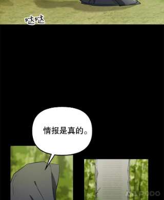请抛弃我8.森林的召唤