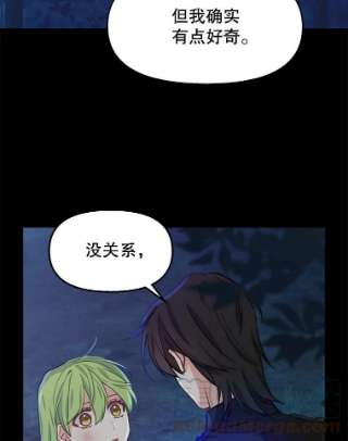 请抛弃我14.夜晚的森林