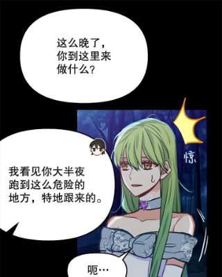 请抛弃我14.夜晚的森林