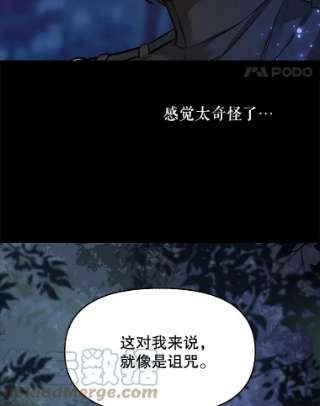 请抛弃我14.夜晚的森林