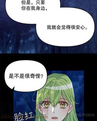 请抛弃我14.夜晚的森林