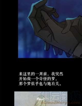 请抛弃我14.夜晚的森林