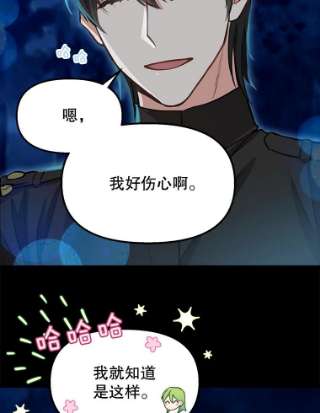 请抛弃我14.夜晚的森林
