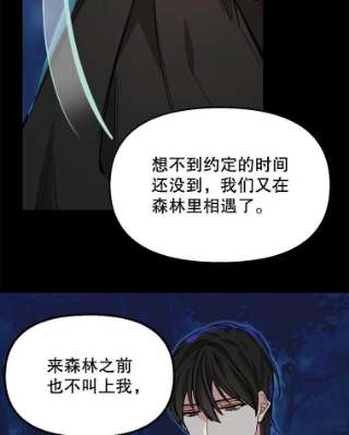 请抛弃我14.夜晚的森林