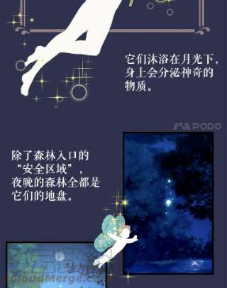 请抛弃我14.夜晚的森林