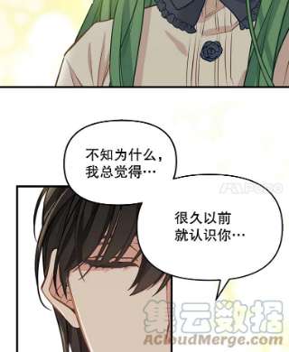 请抛弃我16.求婚