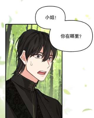 请抛弃我20.幻觉森林