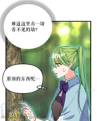 请抛弃我20.幻觉森林