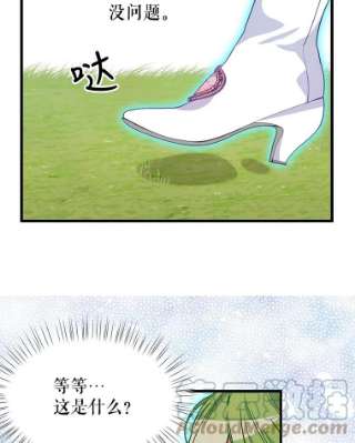 请抛弃我20.幻觉森林