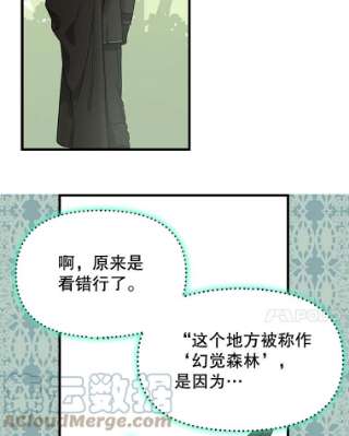请抛弃我20.幻觉森林