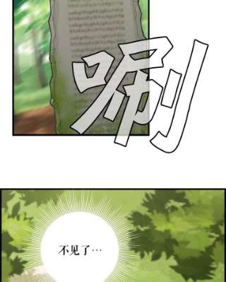 请抛弃我20.幻觉森林