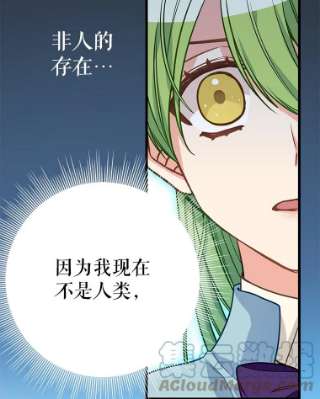 请抛弃我20.幻觉森林