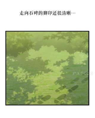 请抛弃我20.幻觉森林