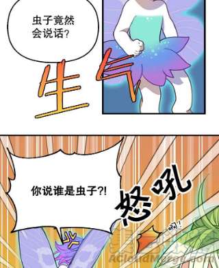 请抛弃我21.精灵的要求