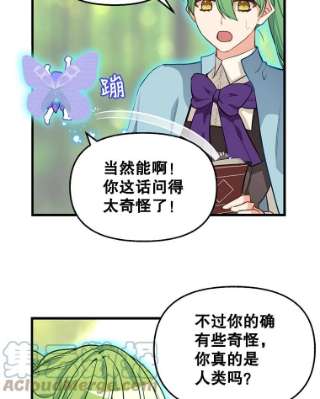 请抛弃我21.精灵的要求