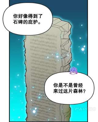 请抛弃我21.精灵的要求