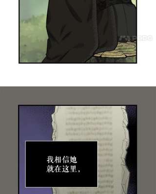 请抛弃我21.精灵的要求