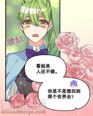 请抛弃我21.精灵的要求