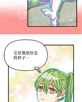 请抛弃我21.精灵的要求