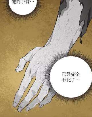 请抛弃我24.石碑的庇护