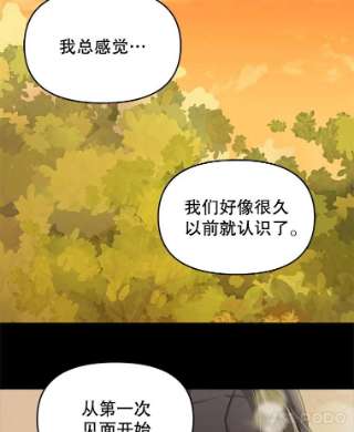 请抛弃我26.相似的经历