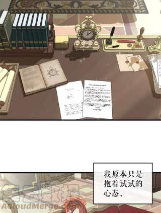 请抛弃我29.情报组织