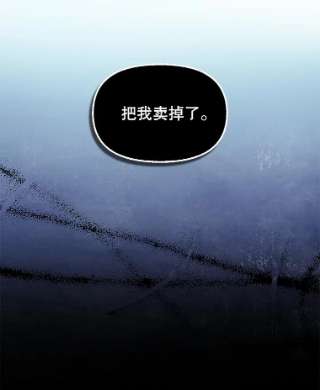 请抛弃我29.情报组织
