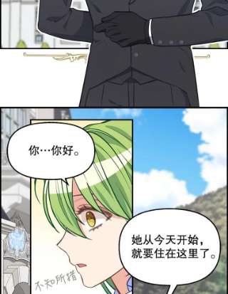 请抛弃我38.大公府