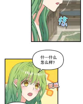 请抛弃我41.入宫