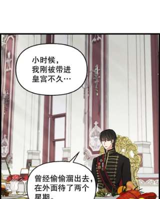 请抛弃我41.入宫