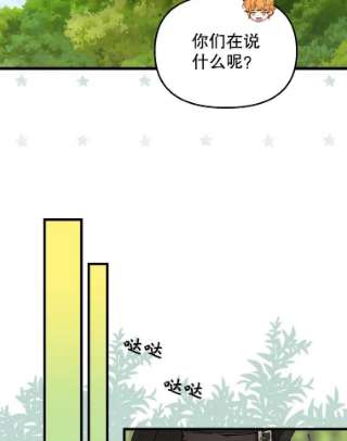 请抛弃我47.第三块石碑