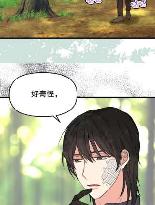 请抛弃我48.露营