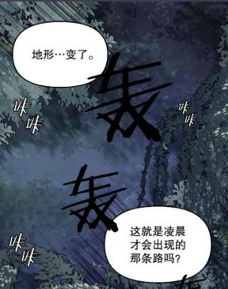 请抛弃我48.露营