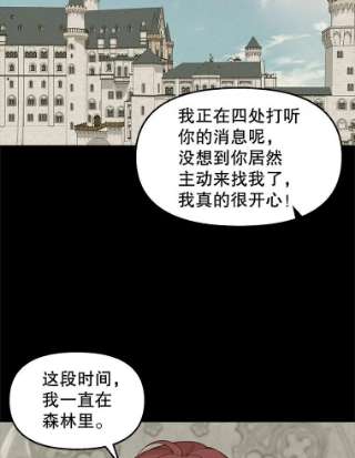 请抛弃我49.过去的故事