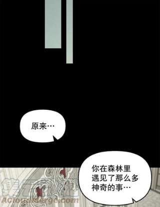请抛弃我49.过去的故事