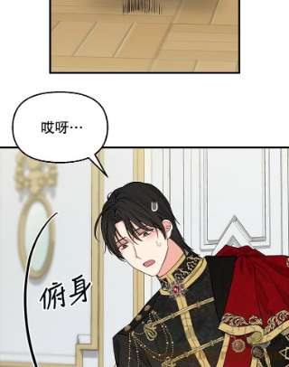请抛弃我56.华丽登场