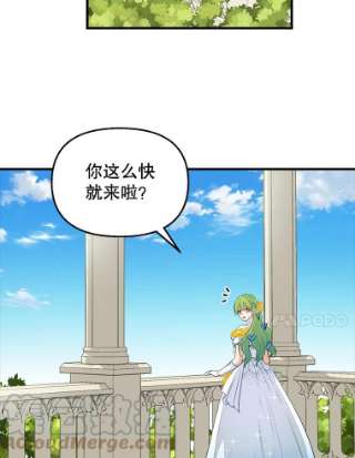 请抛弃我56.华丽登场
