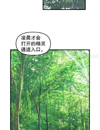请抛弃我62.第四块石碑