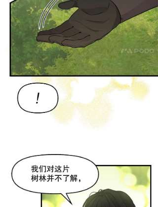 请抛弃我62.第四块石碑