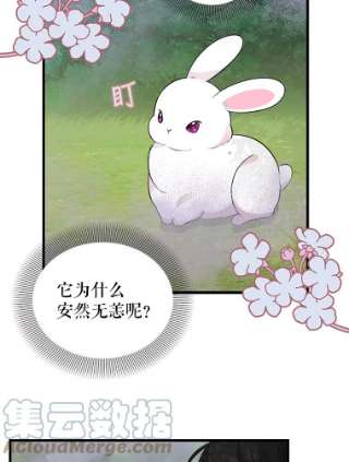 请抛弃我63.毒雾