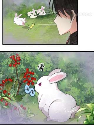 请抛弃我63.毒雾