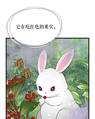 请抛弃我63.毒雾