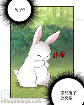 请抛弃我63.毒雾