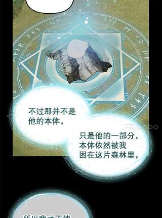 请抛弃我66.圣剑