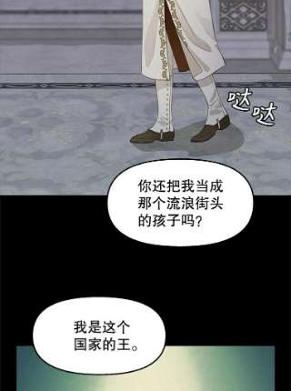请抛弃我66.圣剑