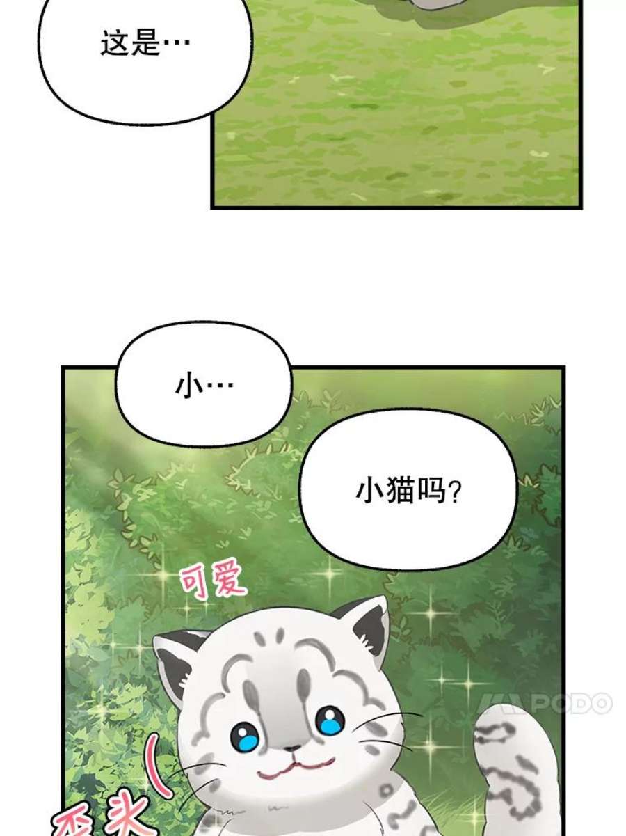 请抛弃我73.妈妈