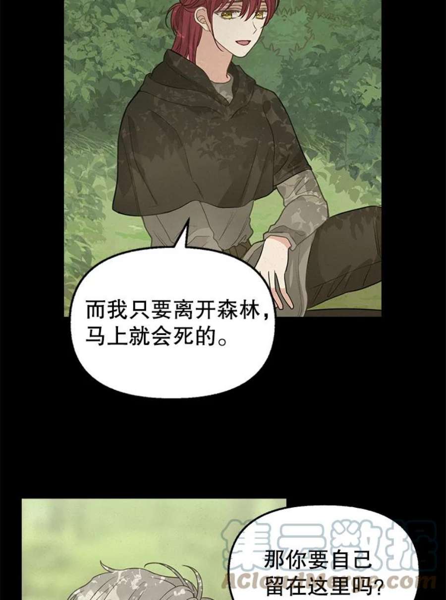 请抛弃我77.继承