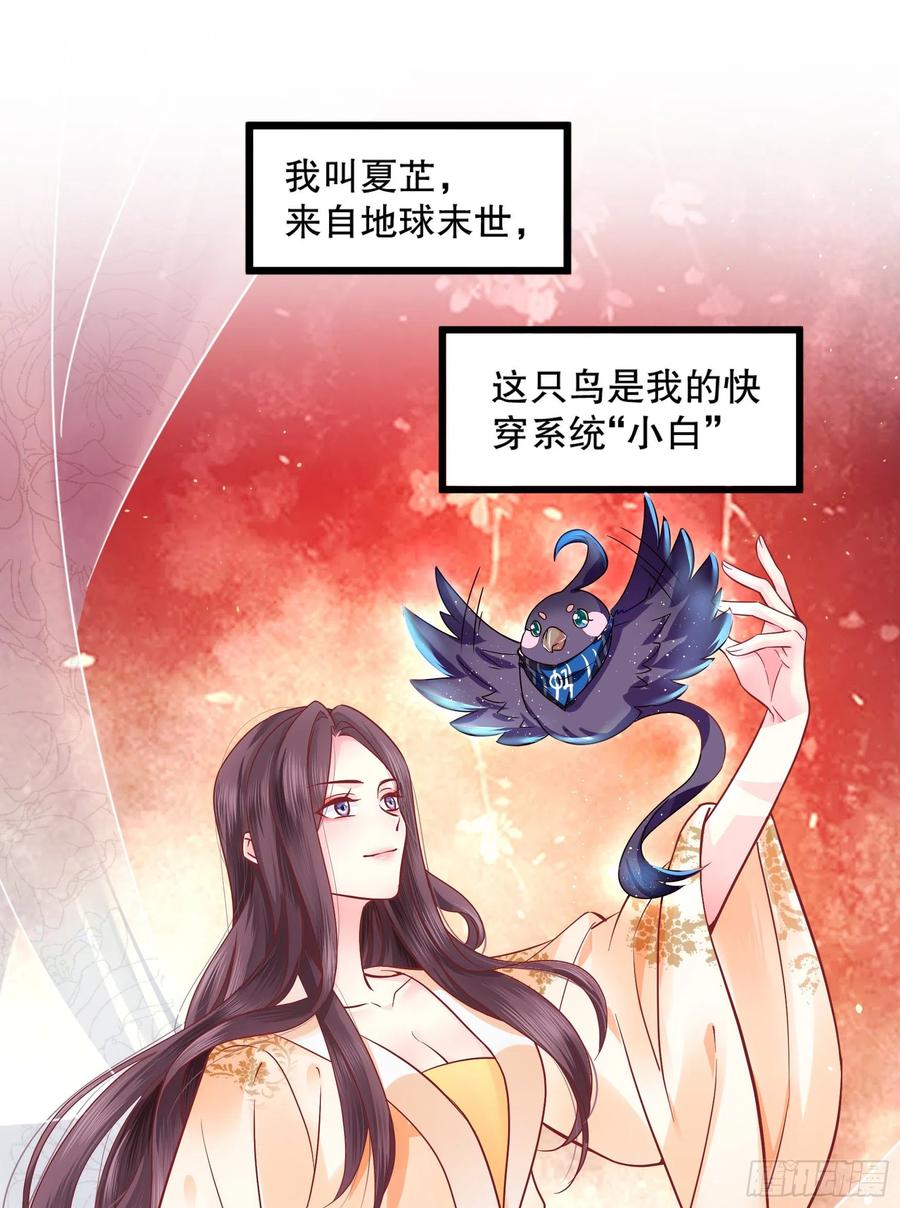 皇后必须我来当001：洞房花烛
