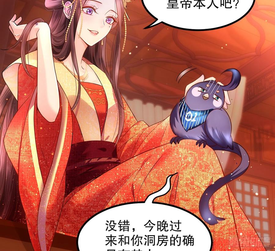 皇后必须我来当001：洞房花烛
